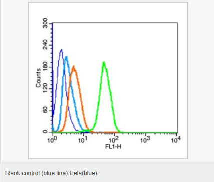 60599a120bb64.png image.png