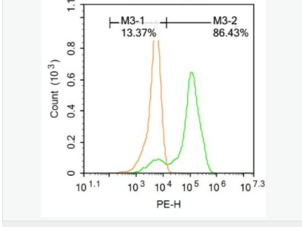 60651c6af02c0.png image.png