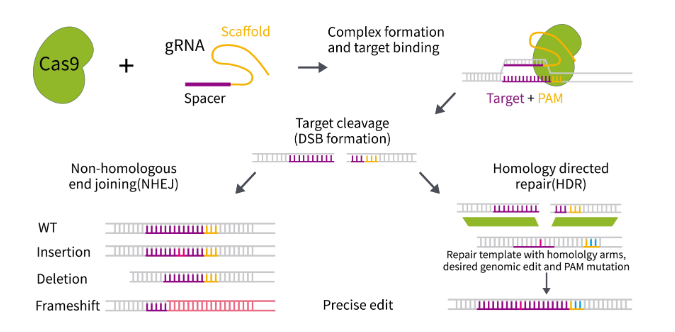 68ea134843526.png image.png